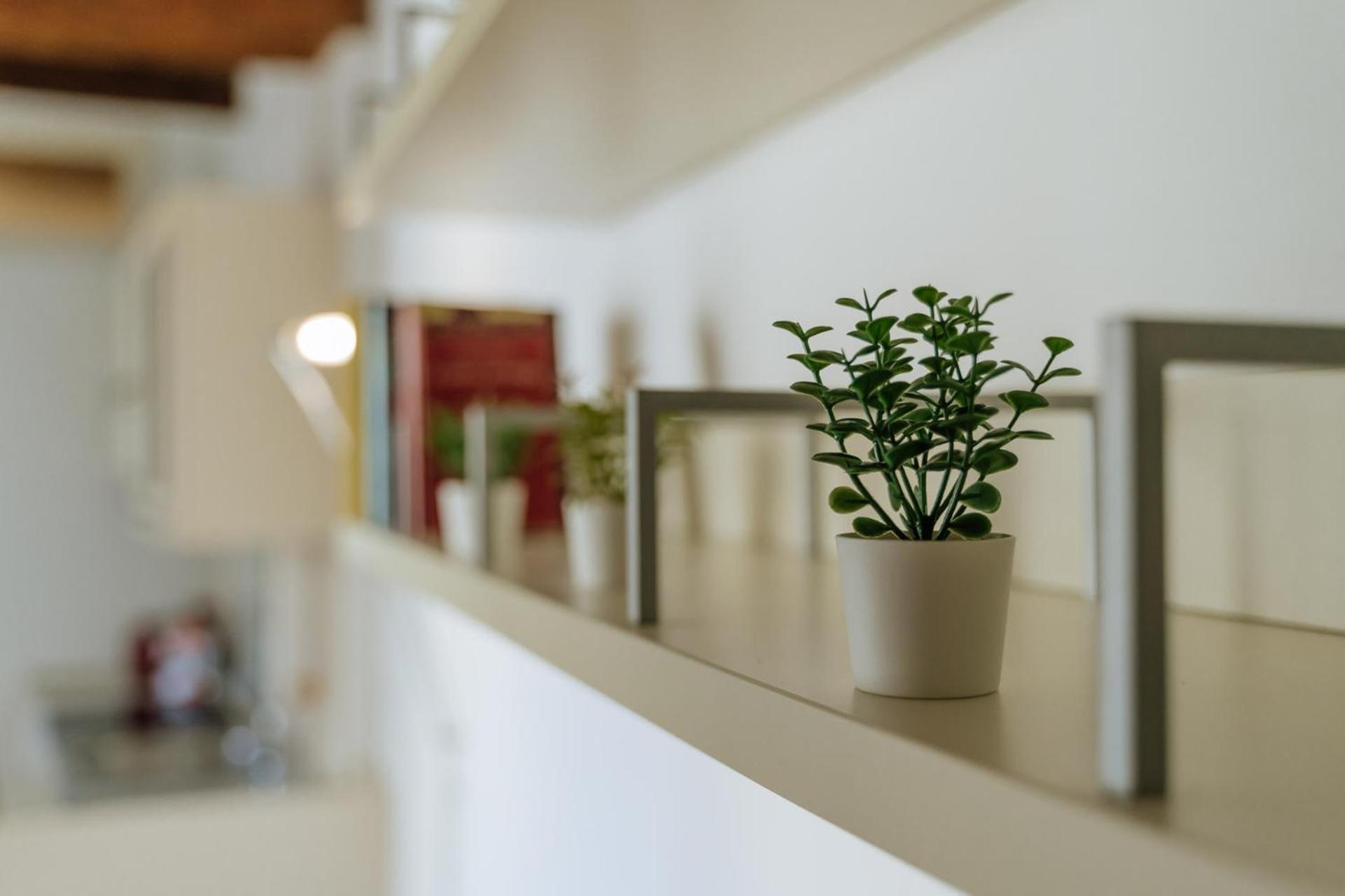 Yourbanflat Marsala Padua