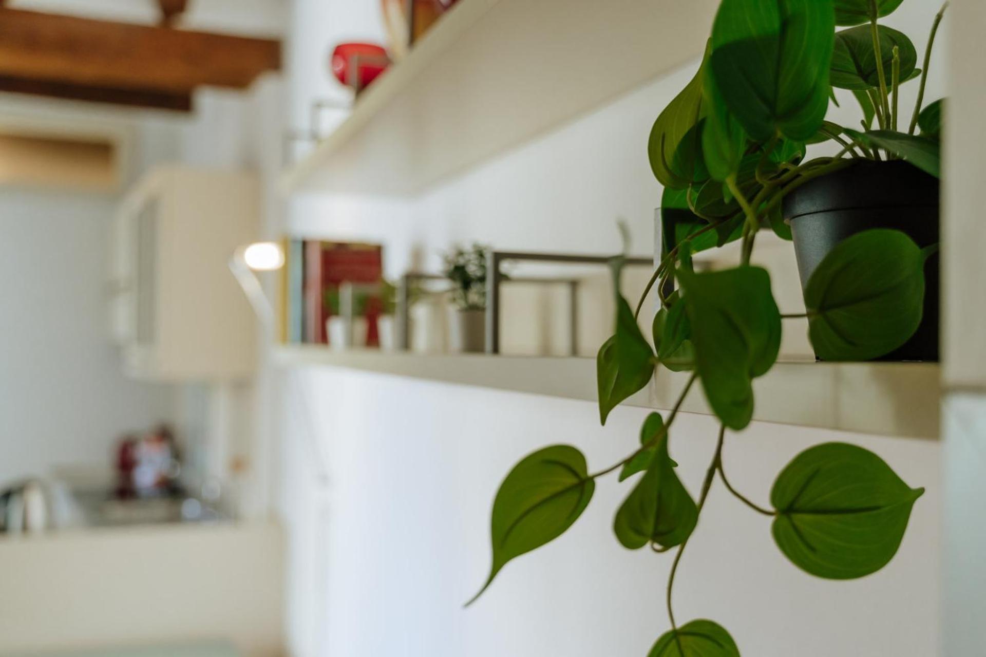 Appartamento Yourbanflat Marsala *